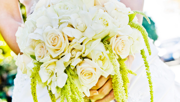 Megan Haney Designs